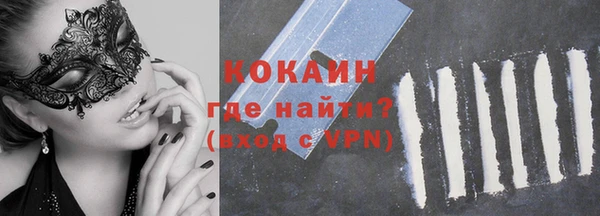 дживик Надым