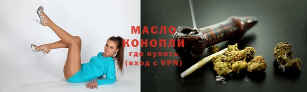 дживик Надым