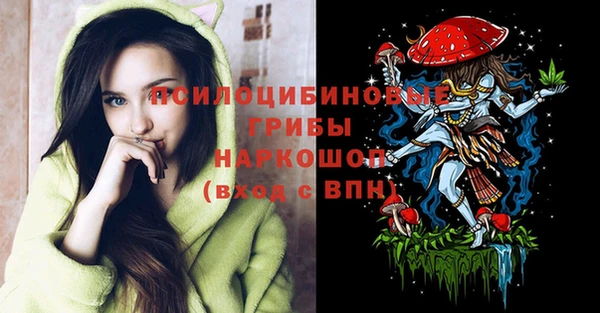 дживик Надым