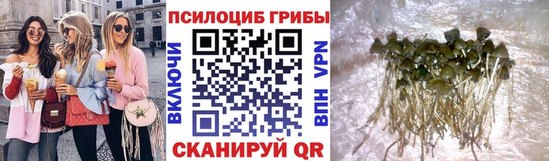 Галлюциногенные грибы MAGIC MUSHROOMS  Лодейное Поле 