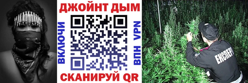 Бошки марихуана семена  где можно купить наркотик  Лодейное Поле 